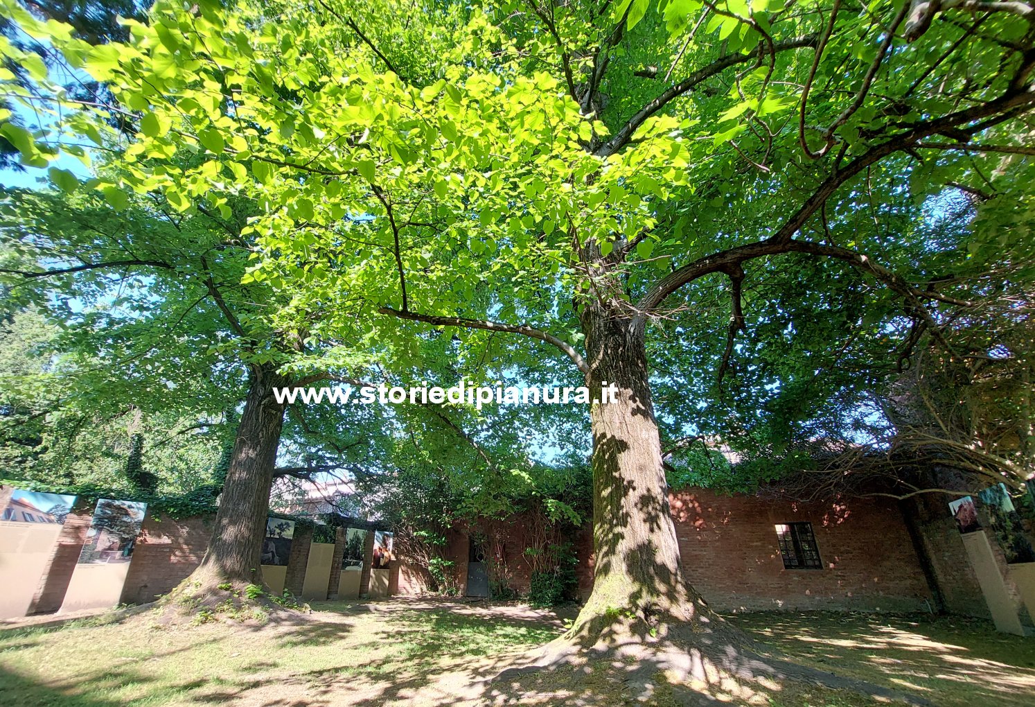 Giardino odierno di Casa Ariosto