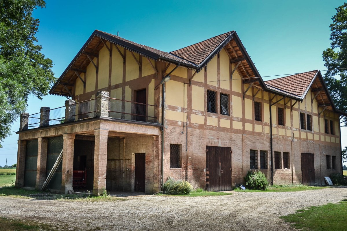 Azienda Agricola Cinquanta