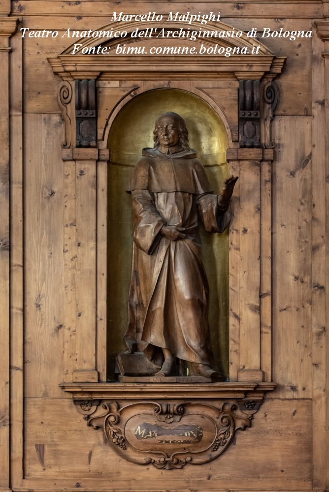 Marcello Malpighi, Teatro Anatomico Bologna