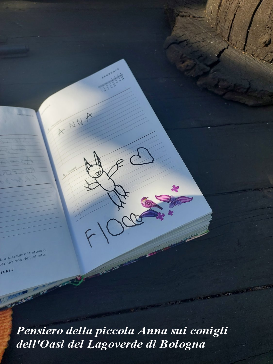 Disegno di Anna che raffigura Fiocco di Neve