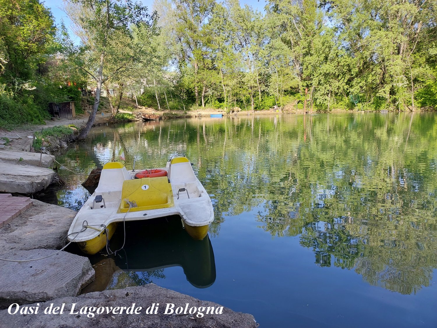 Oasi del Lagoverde, Bologna