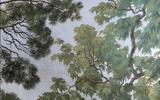Verde Maestà. L'albero tra simboli, miti e storie
