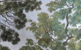 Verde Maestà. L'albero tra simboli, miti e storie