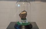 La meteorite che cadde su Renazzo nel 1824