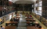 Giornata di ricerca alla Biblioteca dell'Archiginnasio di Bologna